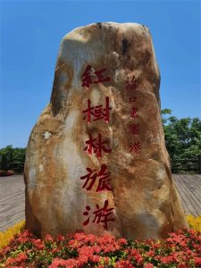 ​说说“一”为首字的四字成语大世界