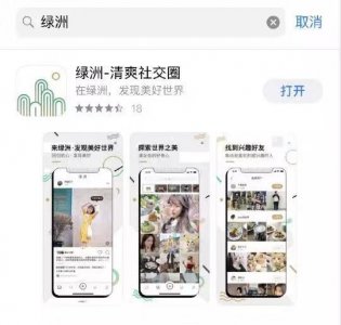 ​大型抄袭翻车现场！微博新APP绿洲被秒下架