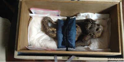 ​[日本]日本寺庙发现一英尺长的“美人鱼”木乃伊