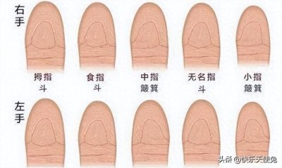 ​俗语有云：“一斗穷、二斗富”，你的手指上有几个“斗”呢？