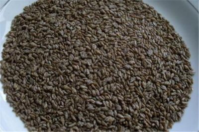 ​苦荞可以和什么一起泡 苦荞和什么一起泡好