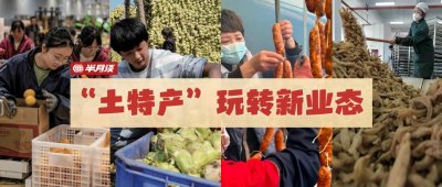 ​半月谈丨长丰草莓何以“常年丰”