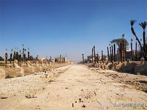 非洲 埃及 卢克索 卢克索神庙