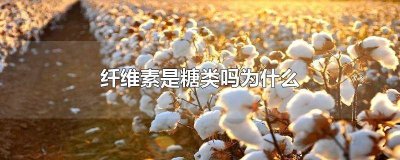 ​纤维素是糖类吗为什么不能用 纤维素是糖类吗为什么不能食用