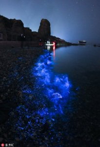 ​大连海域频现“荧光海”美若仙境 走在沙滩如漫步星空