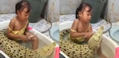 ​印尼超彪悍小女孩 与鳄鱼共浴还为其刷牙