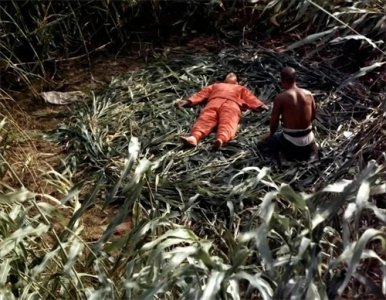 ​文学艺术是乳房光滑的工具吗？