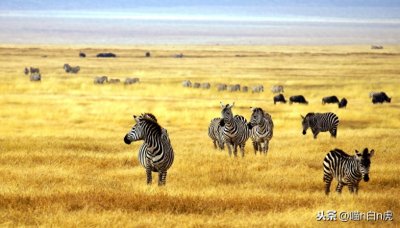 ​这里是莫桑比克