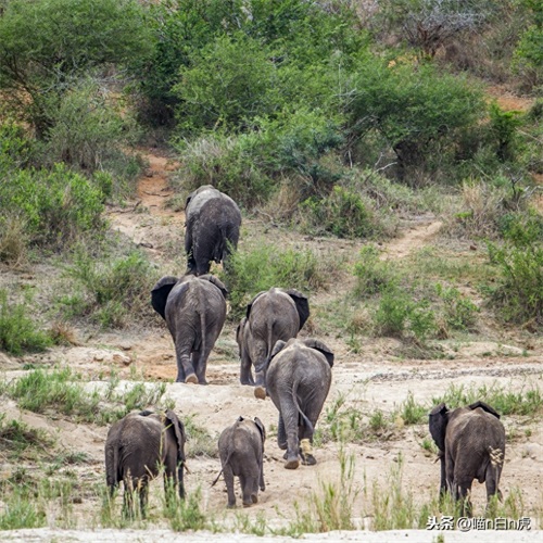 这里是莫桑比克
