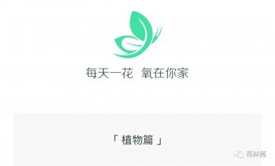 ​量天尺—火龙果之母