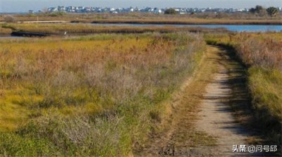 ​美国“得州死亡地带”30名女性遇害者，几十年来凶手身份难以确定